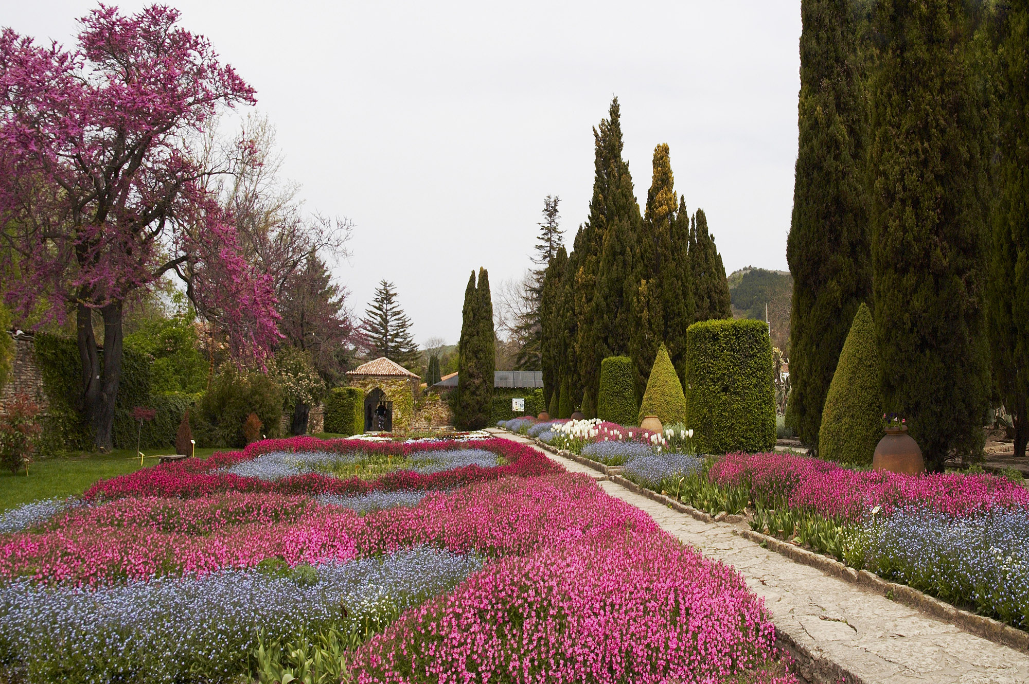 Balchik-Botanical-Garden-in-late-spring-Bulgaria-one-of-biggest-botanical-gardens-in-Europe
