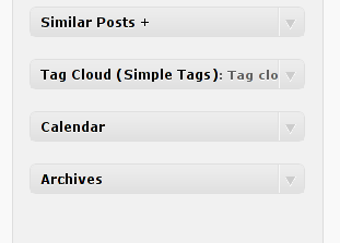 Newsletter WordPress plugin with few other widgets screenshot