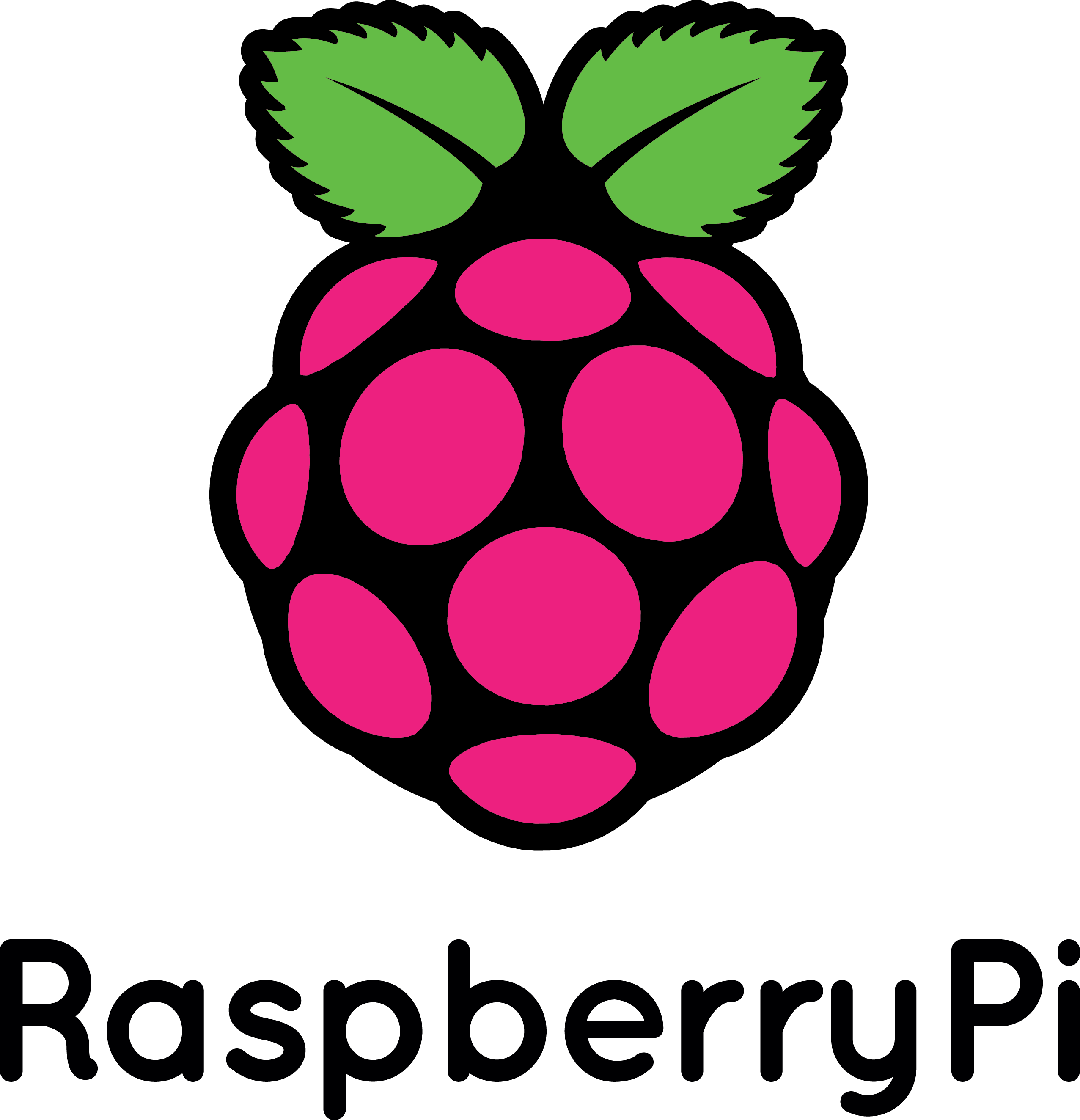 RaspberryPi tiny-computer running Linux and free software Logo