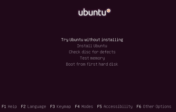 Ubuntu Install boot options parameters screen