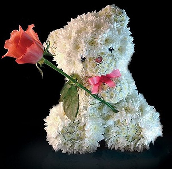 bear-for-you-picture-rose