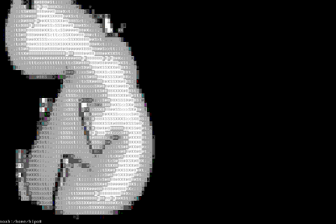 Console Screenshot hipo avatar pic ASCII img2txt output picture