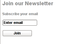 Email Newsletter on WordPress page Screenshot