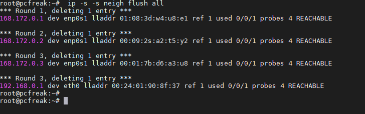 flush-all-arp-cache-addresses-on-linux-howto-with-ip-command