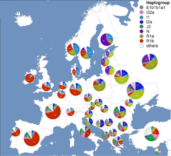 genetic-history-of-europe-Percentage_of_major_Y-DNA_haplogroups_in_Europe