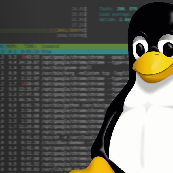 how-to-disown-a-shell-running-process-on-linux-trick