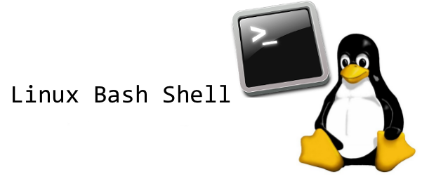 how-to-execute-ssh-command-on-multiple-linux-servers-with-native-ssh-client-and-bash-loop-changing-default-shell-terminal-to-bash-for-mass-many-multiple-linux-unix-servers