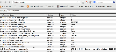 Iceweasel Firefox browser cache screenshot Debian Gnu Linux screenshot tiny