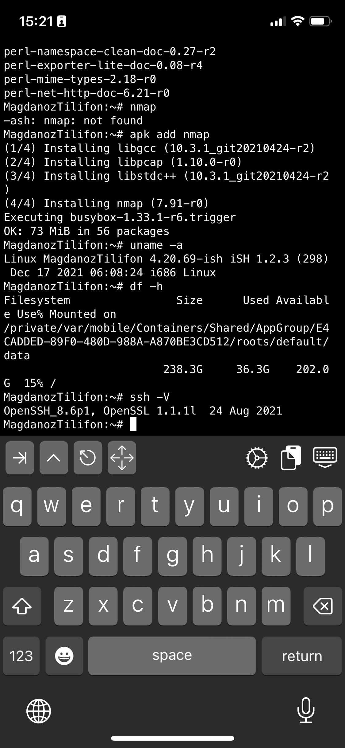ish-screenshot-terminal2-linux-emulator-iphone-alpine