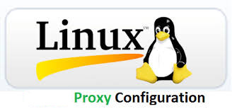 linux-ssl-proxy-configuration-from-command-line-with-wget-and-curl-howto