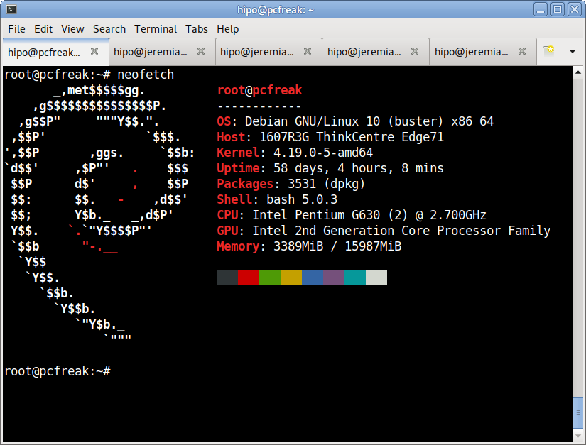 neofetch-OS-hardware-information-Linux-ascii-system-info-pcfreak-home-server