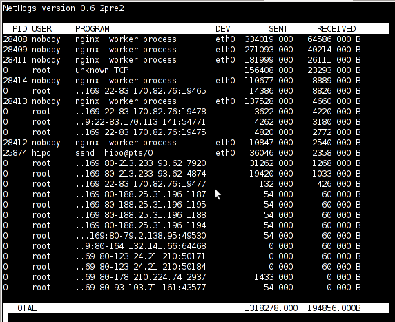 Nethogs screenshot on Linux Server with Nginx