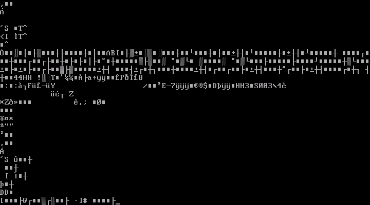 Resolve fix messed up unreadable gnu linux console terminal screenshot