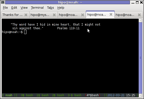 Screenshot of GNU screen running good colorful screenrc on Debian Linux