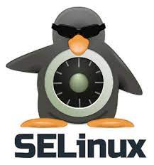 selinux-artistic-penguin-logo-protect-data