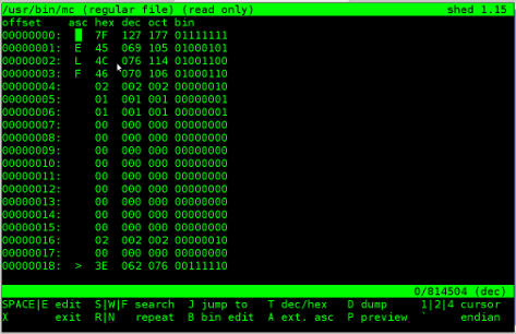 shed pico like hex binary editor Linux