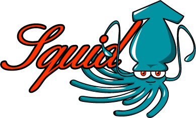 Squid transparant proxy disabling blocking websites with Squid proxy