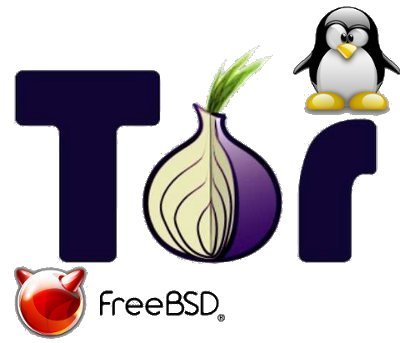 Tor onion running public server on FreeBSD and Debian Ubuntu Gnu / Linux