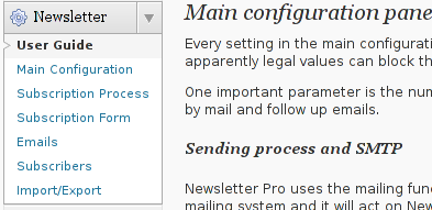 Wordpress Newsletter plugin configuration Screenshot