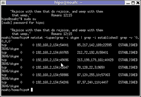 netstat check skype contact IP info with netstat Linux xterm Debian Linux