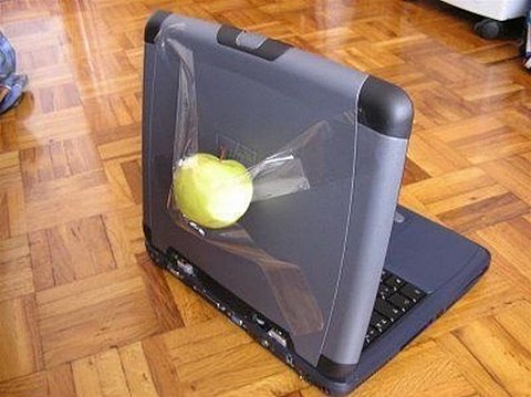 A Real Apple PC