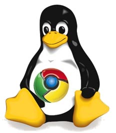 Linux Tux Google Chrome